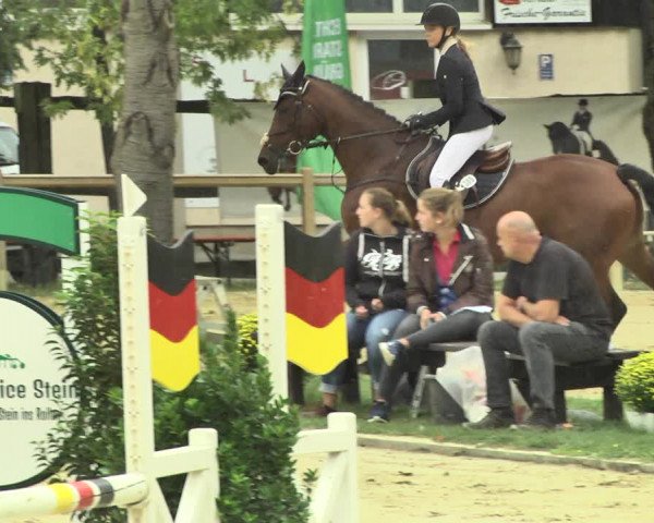 Reitturnier Walldorf/Winterheck 2018