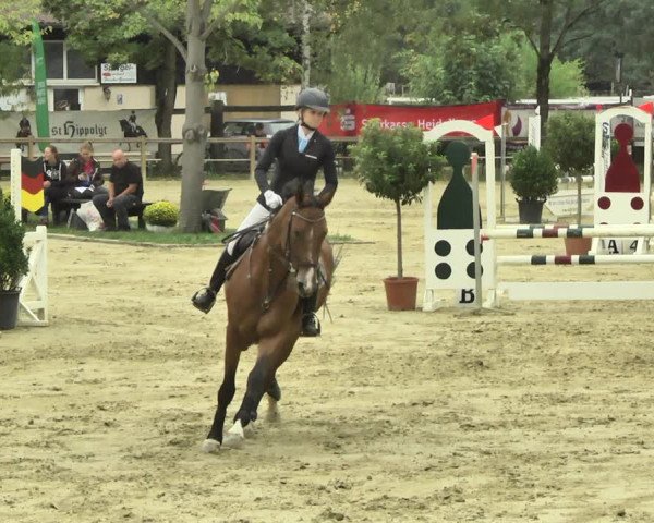 Reitturnier Walldorf/Winterheck 2018