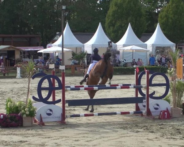 Reitturnier Köln - Reitanlage Brüse 2018