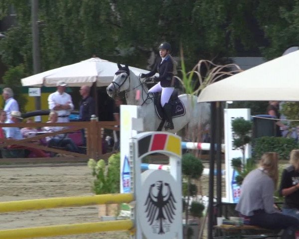 Reitturnier Köln - Reitanlage Brüse 2018