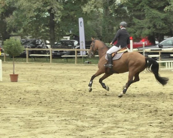 Reitturnier Walldorf/Winterheck 2018