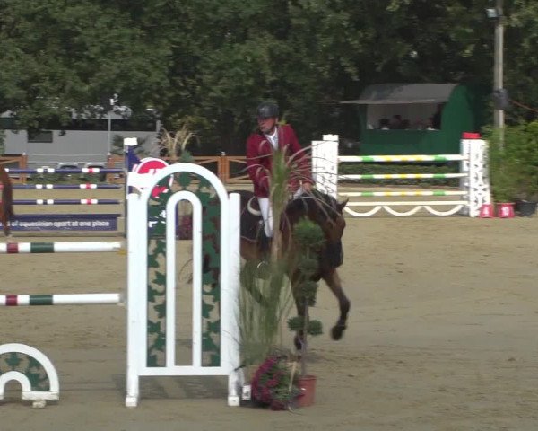 Reitturnier Köln - Reitanlage Brüse 2018