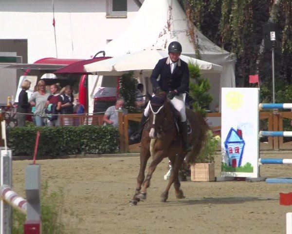 Reitturnier Köln - Reitanlage Brüse 2018