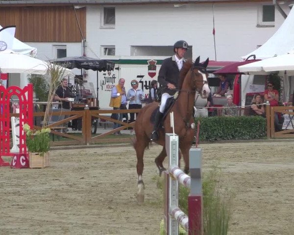 Reitturnier Köln - Reitanlage Brüse 2018