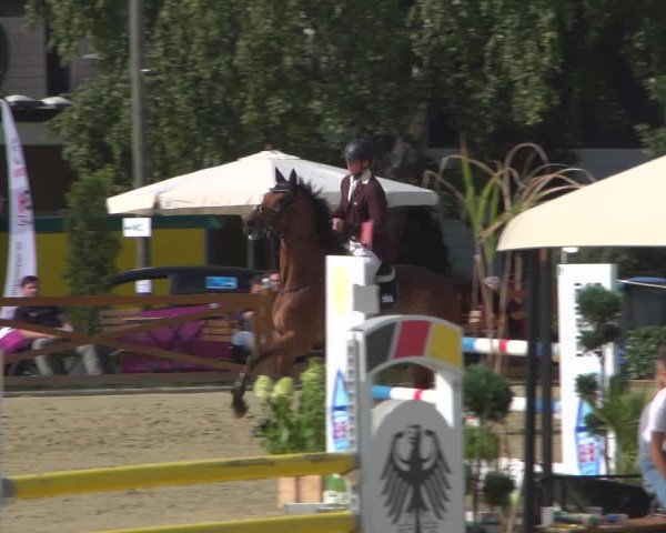 Reitturnier Köln - Reitanlage Brüse 2018