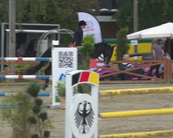 Reitturnier Köln - Reitanlage Brüse 2018