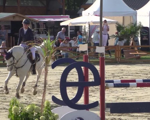 Reitturnier Köln - Reitanlage Brüse 2018
