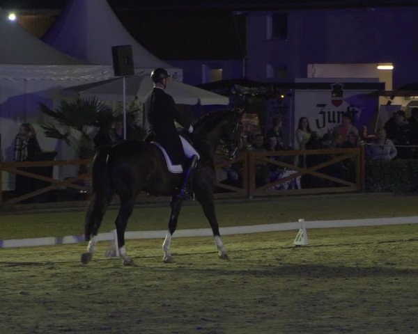 Reitturnier Köln - Reitanlage Brüse 2018