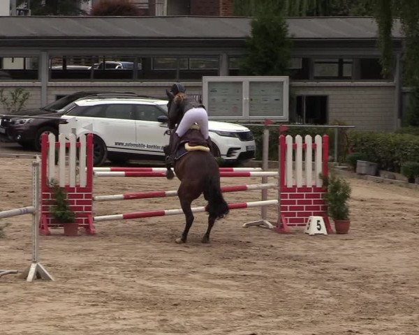 Reitturnier Siegen 2018
