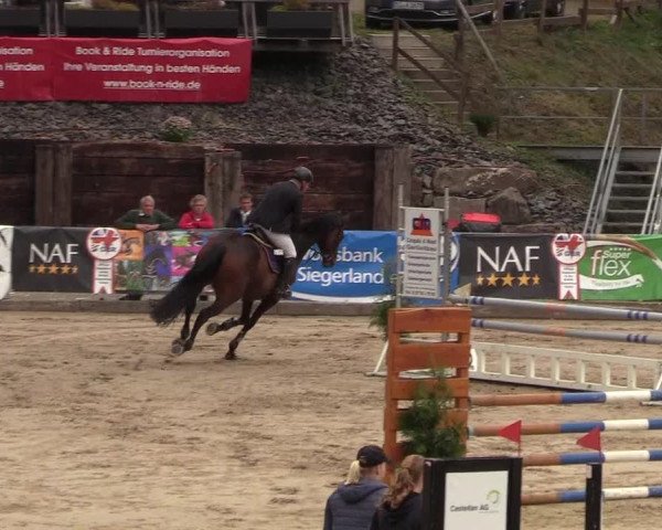 Reitturnier Siegen 2018