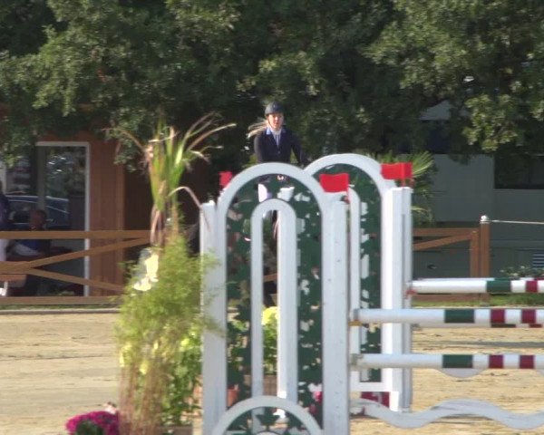 Reitturnier Köln - Reitanlage Brüse 2018