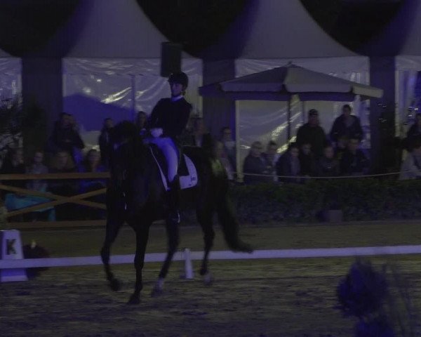 Reitturnier Köln - Reitanlage Brüse 2018