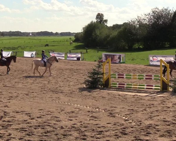 Reitturnier Looper Holz 2018