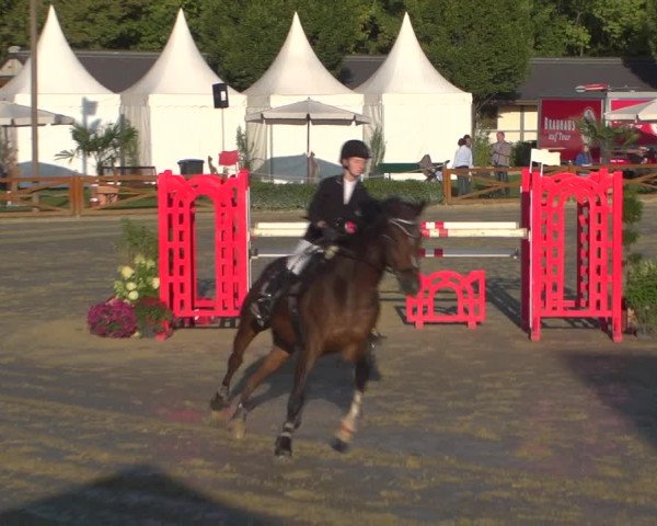 Reitturnier Köln - Reitanlage Brüse 2018