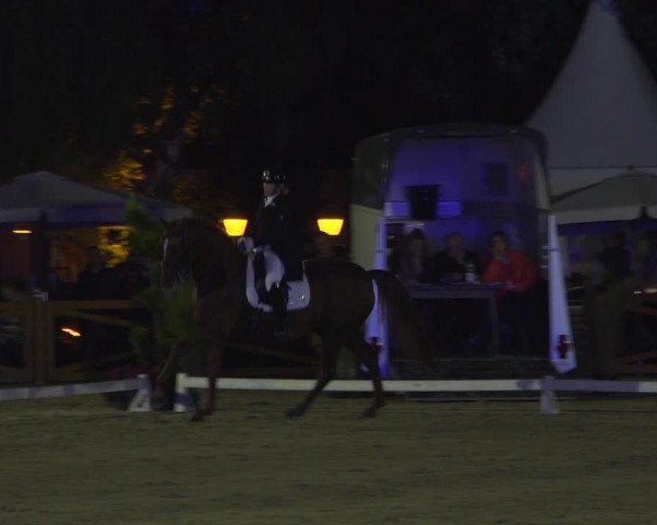 Reitturnier Köln - Reitanlage Brüse 2018