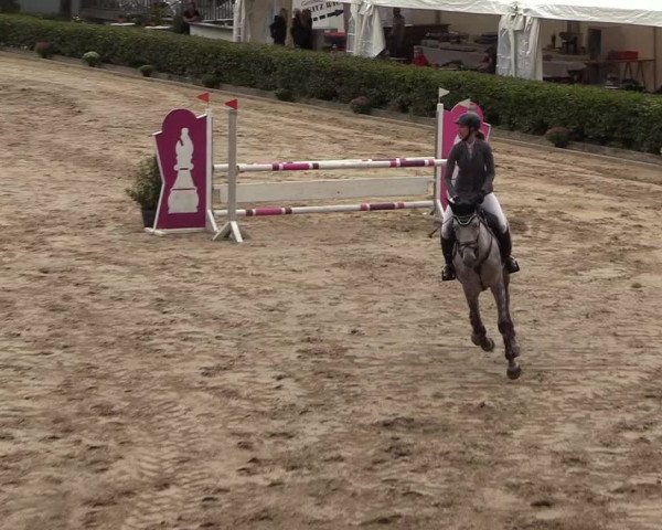 Reitturnier Siegen 2018