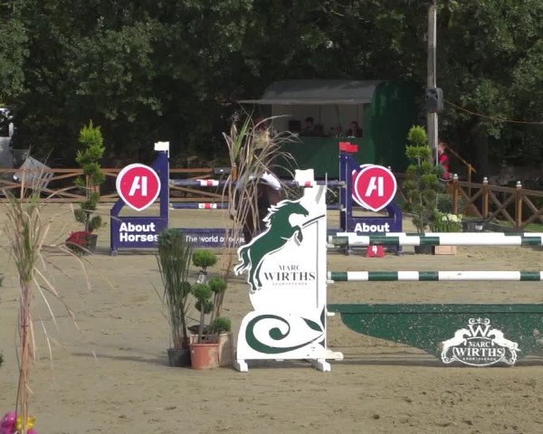 Reitturnier Köln - Reitanlage Brüse 2018