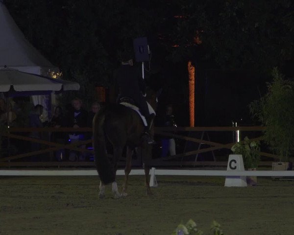 Reitturnier Köln - Reitanlage Brüse 2018