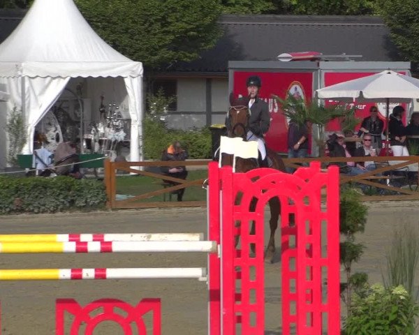 Reitturnier Köln - Reitanlage Brüse 2018