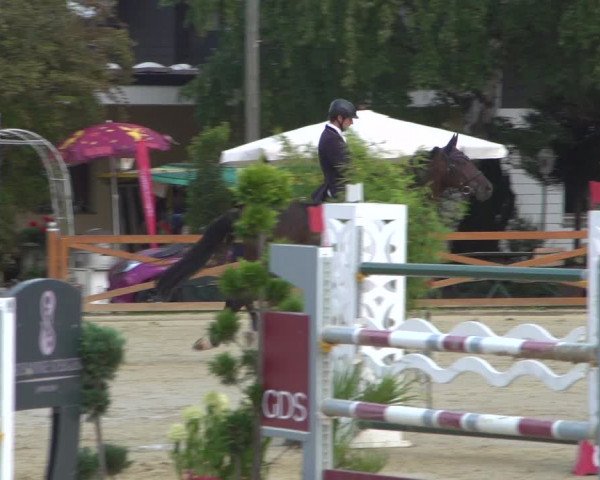 Reitturnier Köln - Reitanlage Brüse 2018