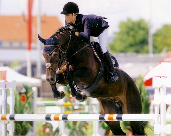 horse Eddy the Eagle 5 (Hanoverian, 2002, from Embassy I)