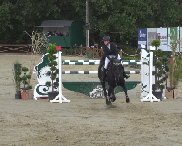 Reitturnier Köln - Reitanlage Brüse 2018