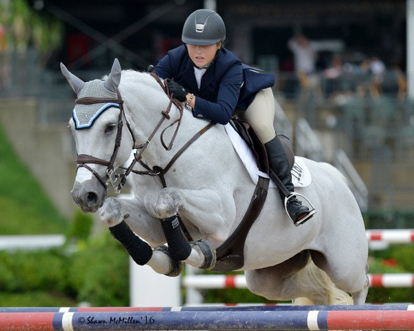 stallion Wallenberg (Hanoverian, 2003, from Stakkato)
