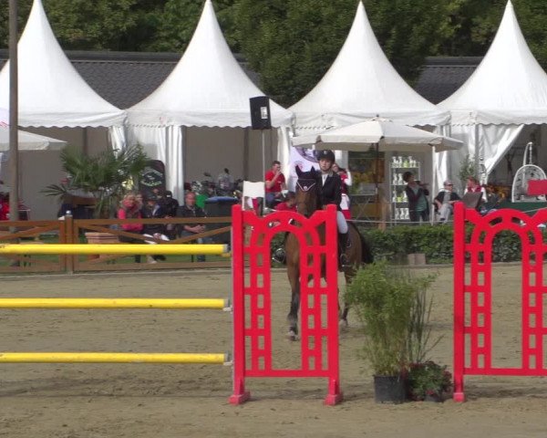 Reitturnier Köln - Reitanlage Brüse 2018