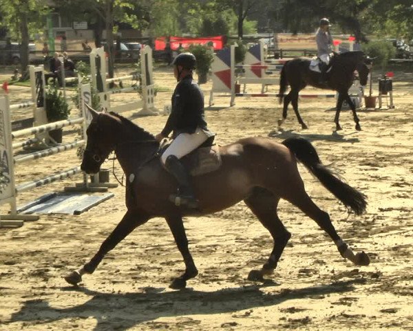Reitturnier Walldorf/Winterheck 2018