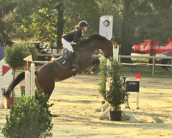 Reitturnier Walldorf/Winterheck 2018