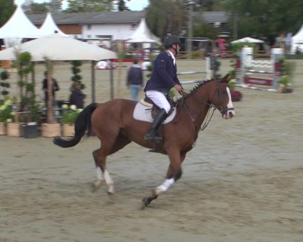 Reitturnier Köln - Reitanlage Brüse 2018