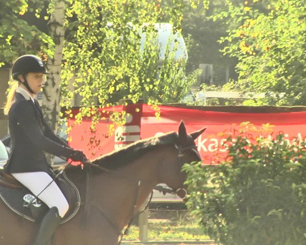 Reitturnier Walldorf/Winterheck 2018