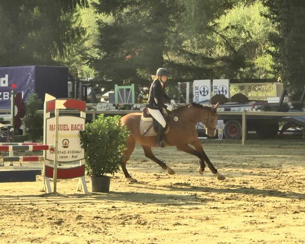 Reitturnier Walldorf/Winterheck 2018