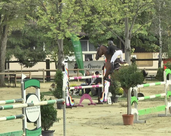 Reitturnier Walldorf/Winterheck 2018