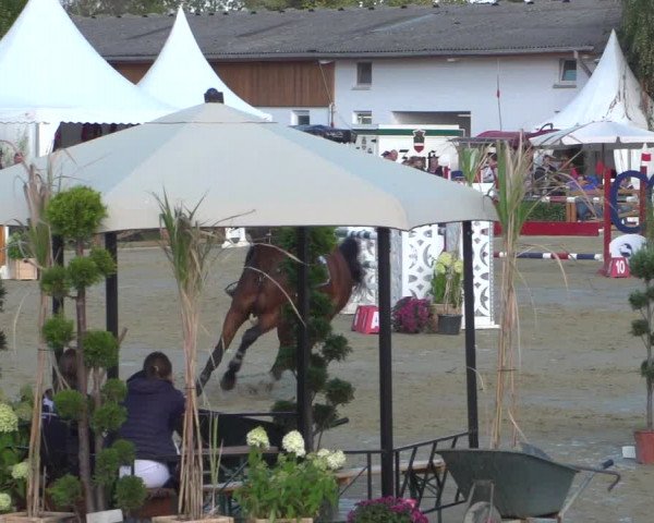 Reitturnier Köln - Reitanlage Brüse 2018