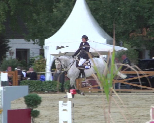 Reitturnier Köln - Reitanlage Brüse 2018