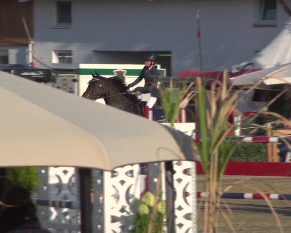Reitturnier Köln - Reitanlage Brüse 2018
