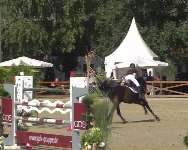 Reitturnier Köln - Reitanlage Brüse 2018