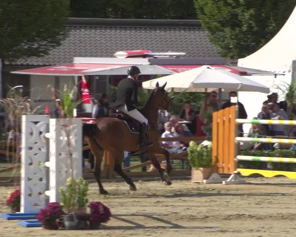 Reitturnier Köln - Reitanlage Brüse 2018