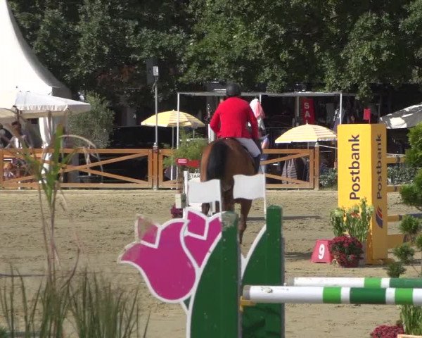 Reitturnier Köln - Reitanlage Brüse 2018