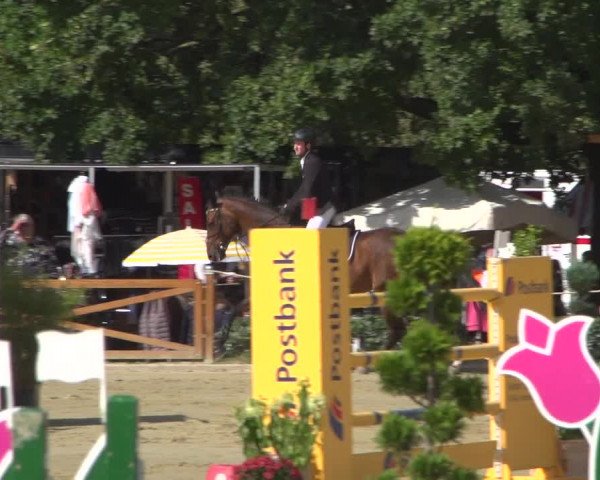 Reitturnier Köln - Reitanlage Brüse 2018