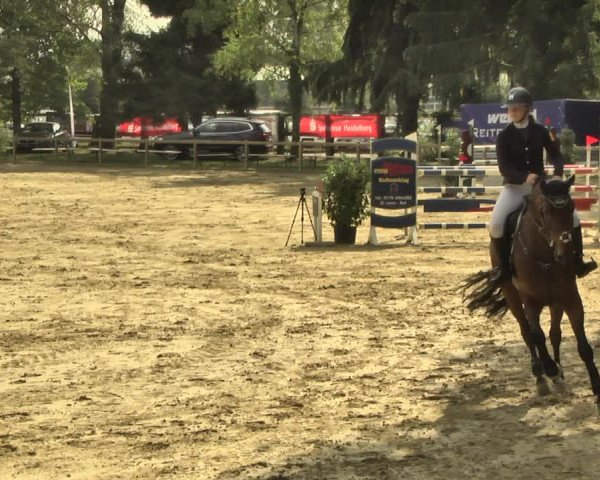 Reitturnier Walldorf/Winterheck 2018