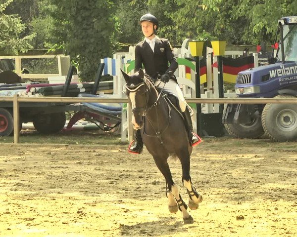 Reitturnier Walldorf/Winterheck 2018