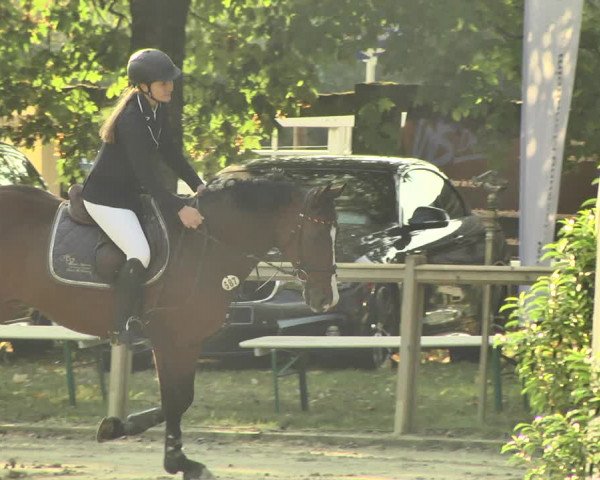Reitturnier Walldorf/Winterheck 2018