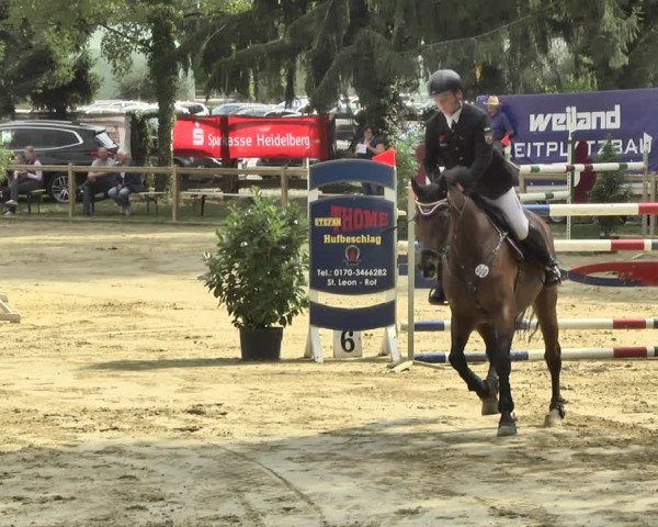 Reitturnier Walldorf/Winterheck 2018
