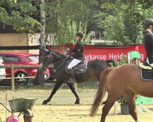 Reitturnier Walldorf/Winterheck 2018