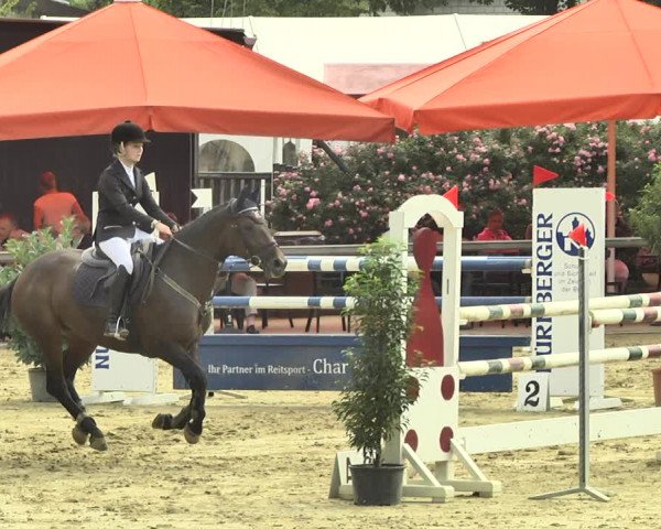 Reitturnier Walldorf/Winterheck 2018
