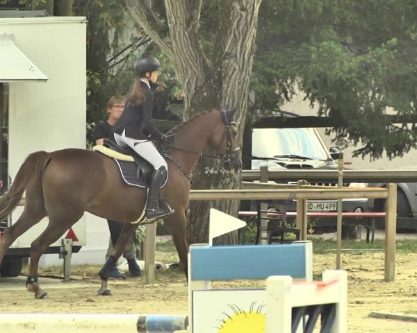 Reitturnier Walldorf/Winterheck 2018