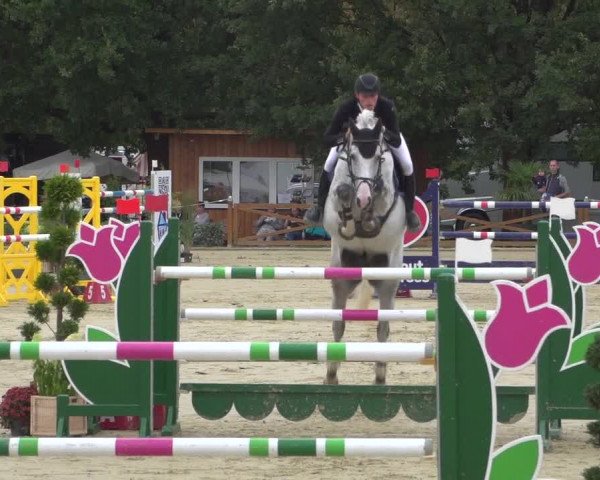 Reitturnier Köln - Reitanlage Brüse 2018