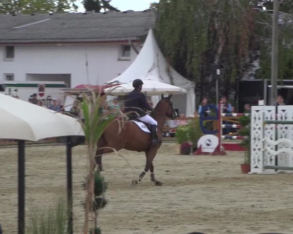 Reitturnier Köln - Reitanlage Brüse 2018